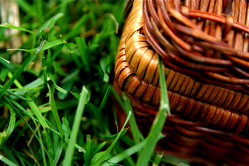picnic